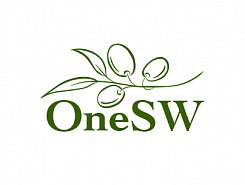 Техподдержка упростила систему регистрации на сайте OneSW